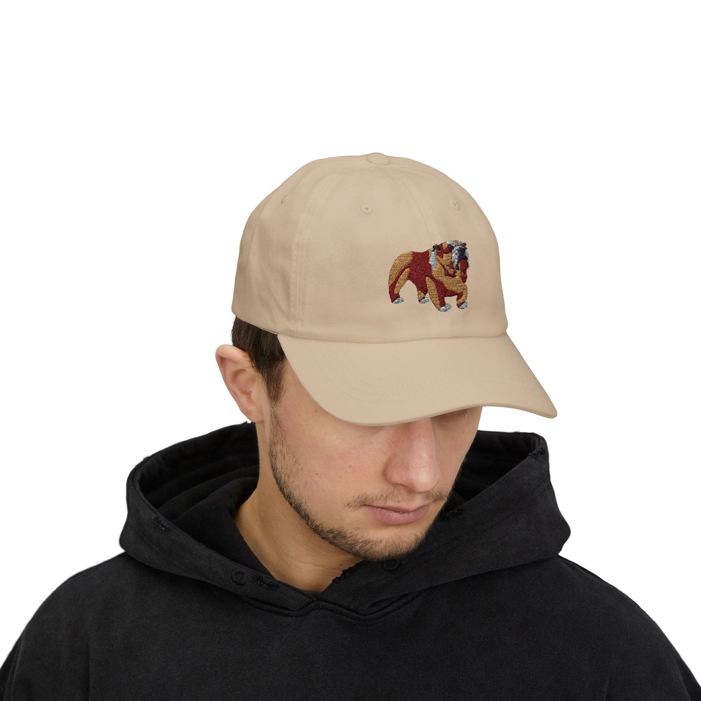 Classic Embroidered Dog Dad Cap, Gift for Dog Lovers, Adjustable Baseball Hat, Casual Wear, Summer Accessory