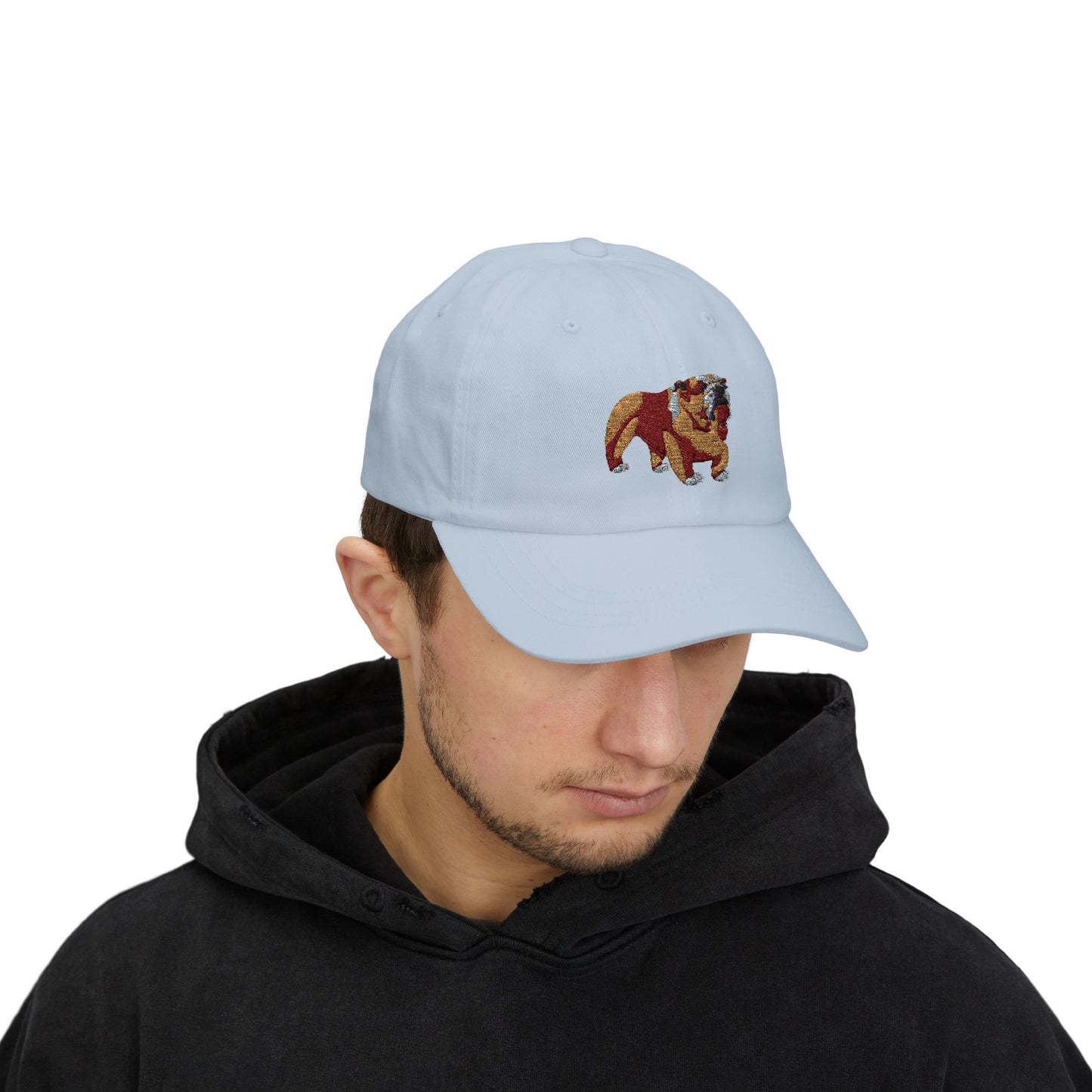 Classic Embroidered Dog Dad Cap, Gift for Dog Lovers, Adjustable Baseball Hat, Casual Wear, Summer Accessory