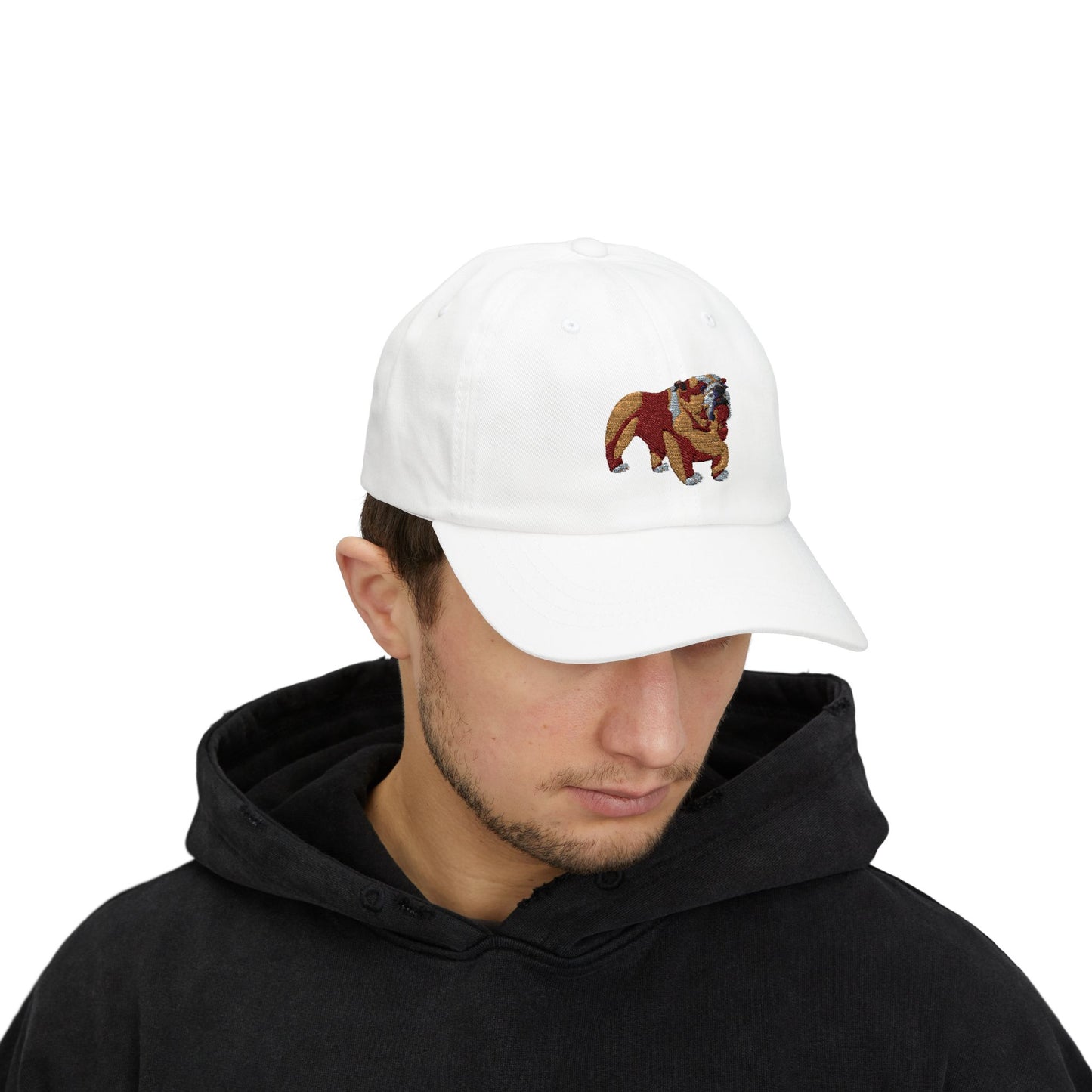 Classic Embroidered Dog Dad Cap, Gift for Dog Lovers, Adjustable Baseball Hat, Casual Wear, Summer Accessory